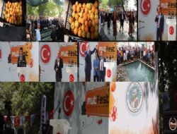 Mut Karacaolan ve Kays Festivali cokulu balad